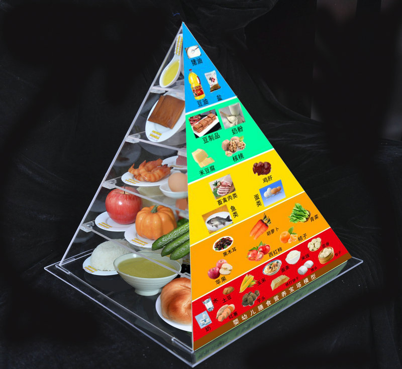肺結(jié)核患者要怎么飲食？膳食寶塔模型公司告訴你